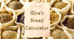 Gina's Bread Calculator - fresh loaf of bread