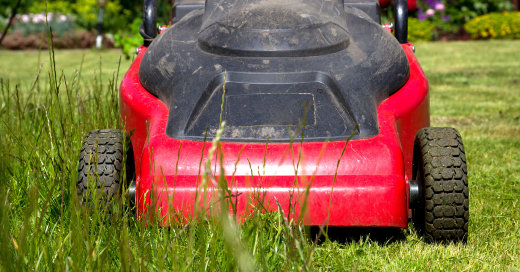 best lawn mower for retirement