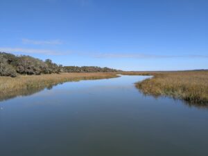 Cannon's Point Preserve