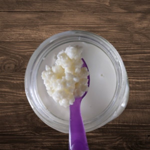 senior wellness - kefir grains
