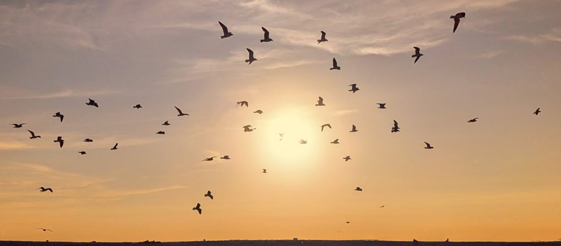 863077b0-da7e-480b-a16d-00813993f52e-1_all_38431.jpg 863077b0-da7e-480b-a16d-00813993f52e-1_all_38431.jpg