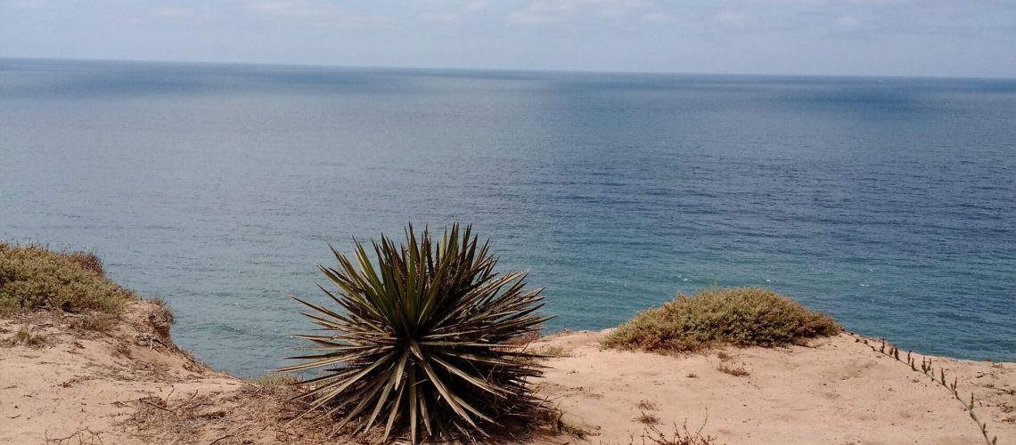 A story of lost faith